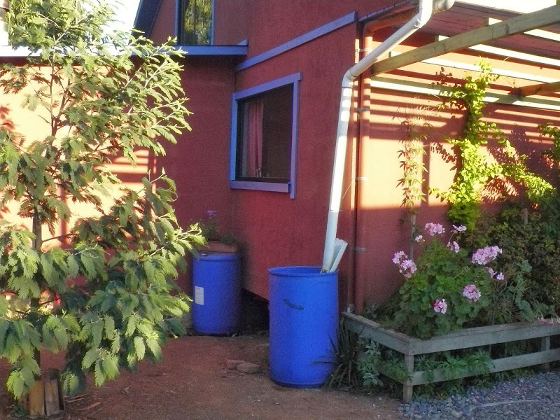 P1470915.JPG