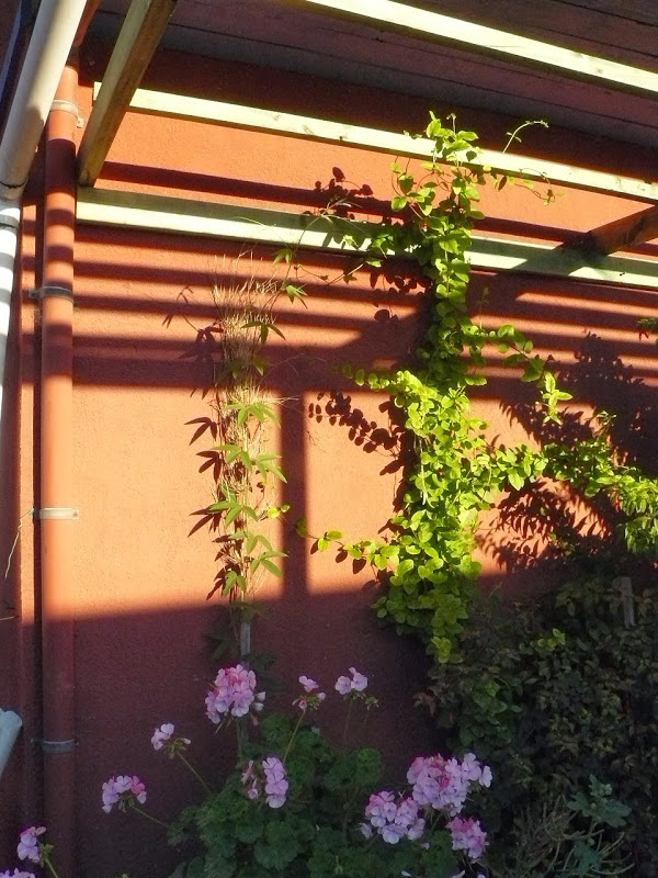 P1470919.JPG