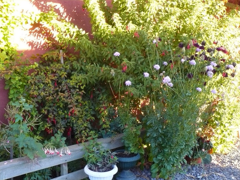 P1470922.JPG