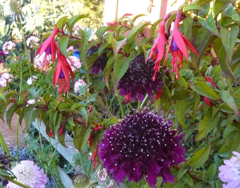 P1470941.JPG