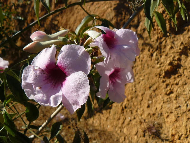 P1480201.JPG