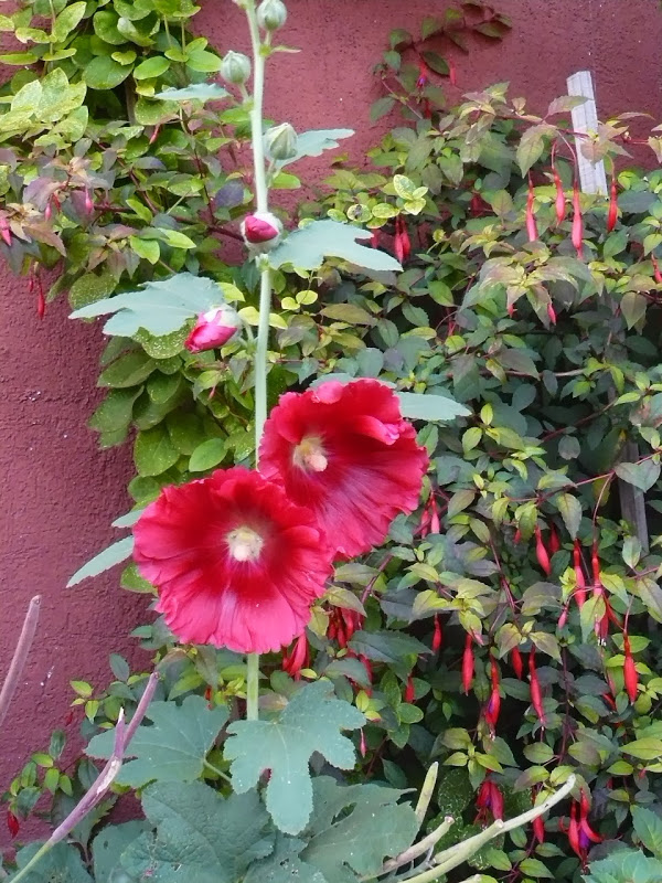 P1480412.JPG
