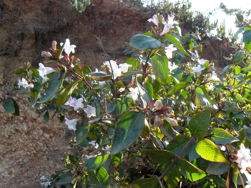 P1480484.JPG