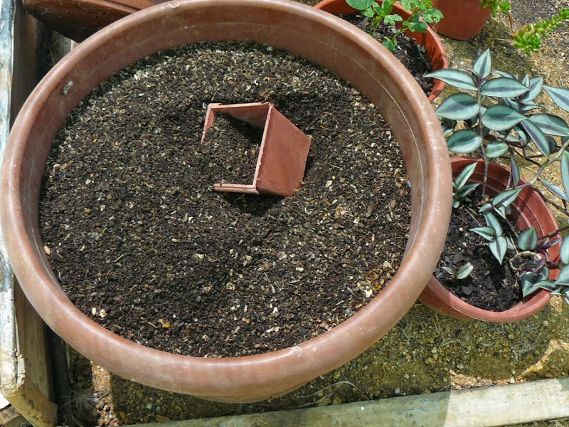 P1480561.JPG