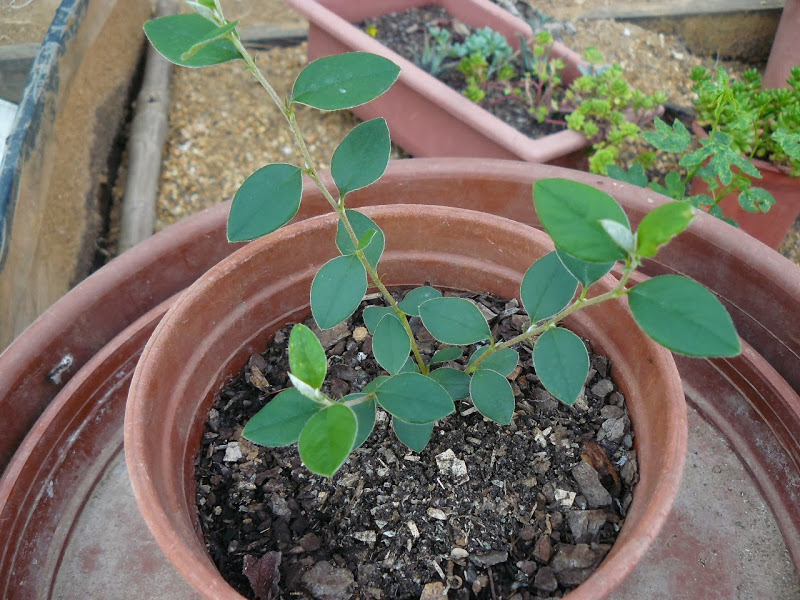 P1480564.JPG