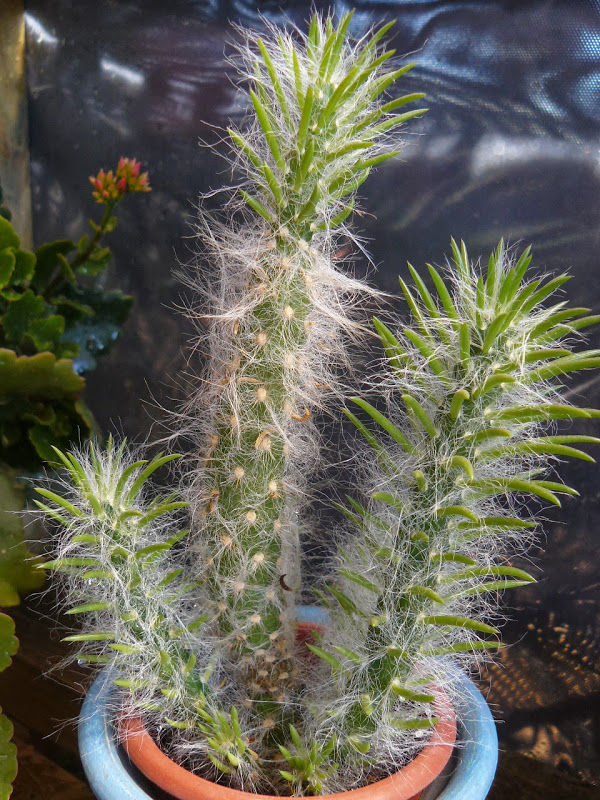P1480850.JPG