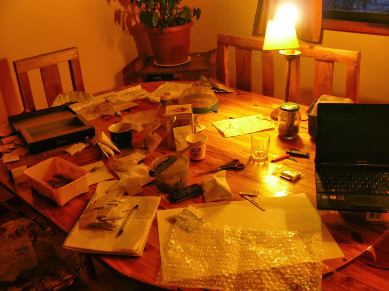 P1480951.JPG