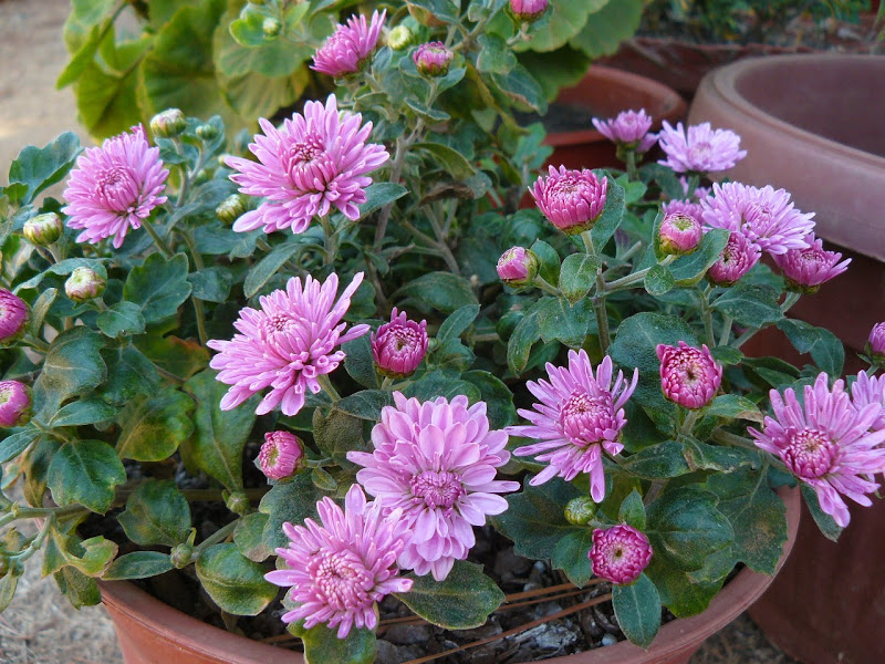P1490013.JPG