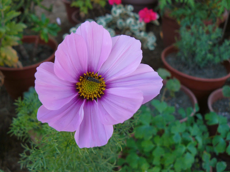P1490017.JPG