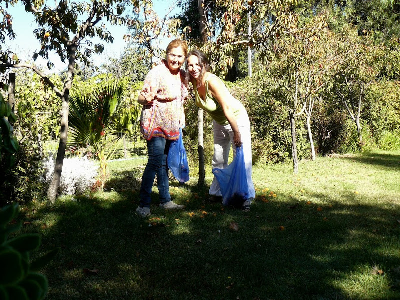 P1490066.JPG
