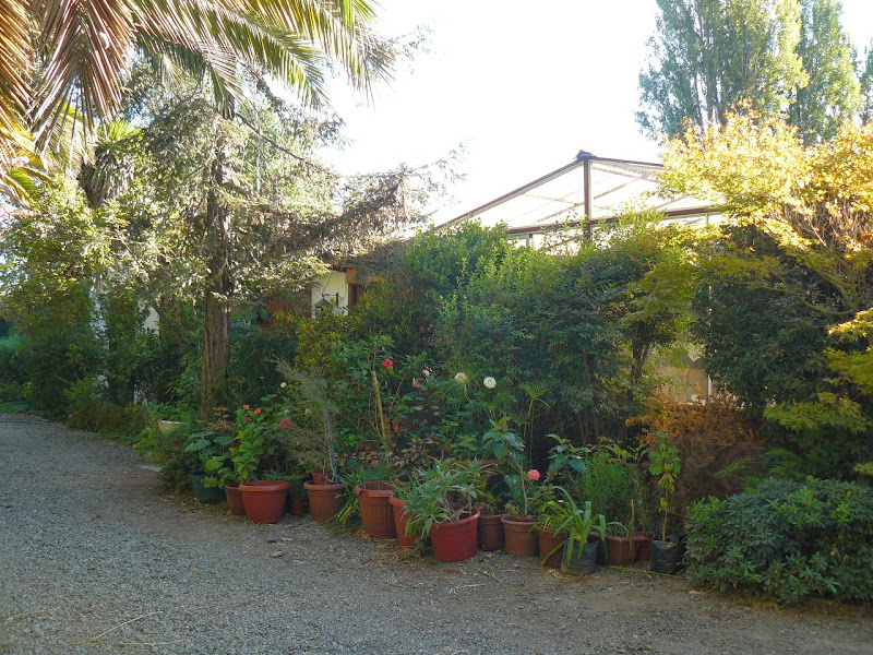 P1490079.JPG
