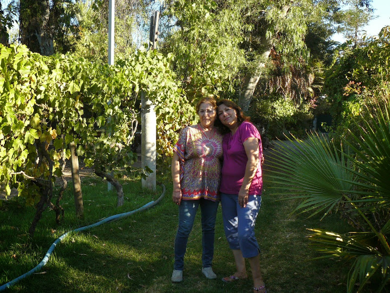 P1490096.JPG