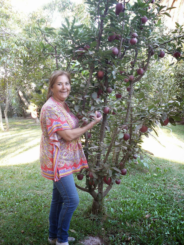 P1490131.JPG