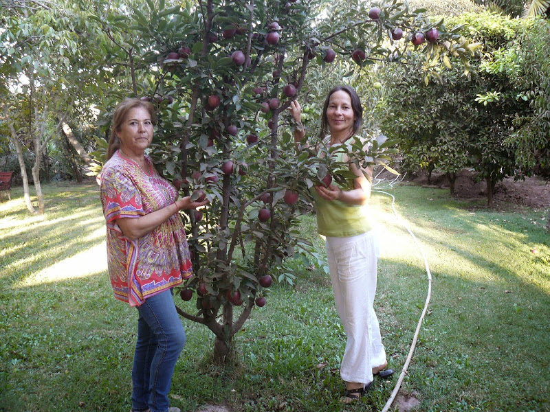 P1490134.JPG