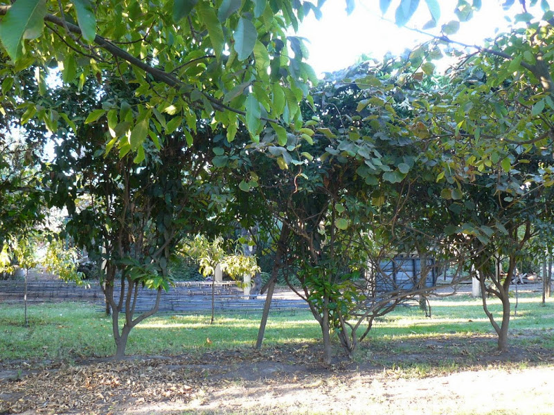 P1490135.JPG