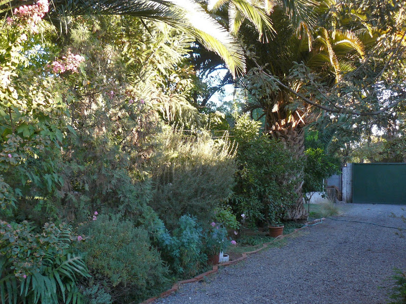 P1490146.JPG