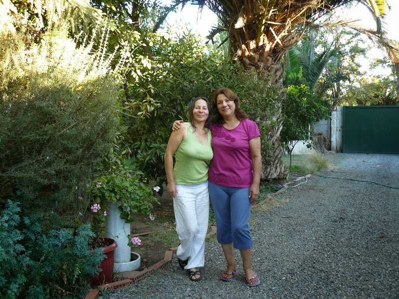 P1490149.JPG