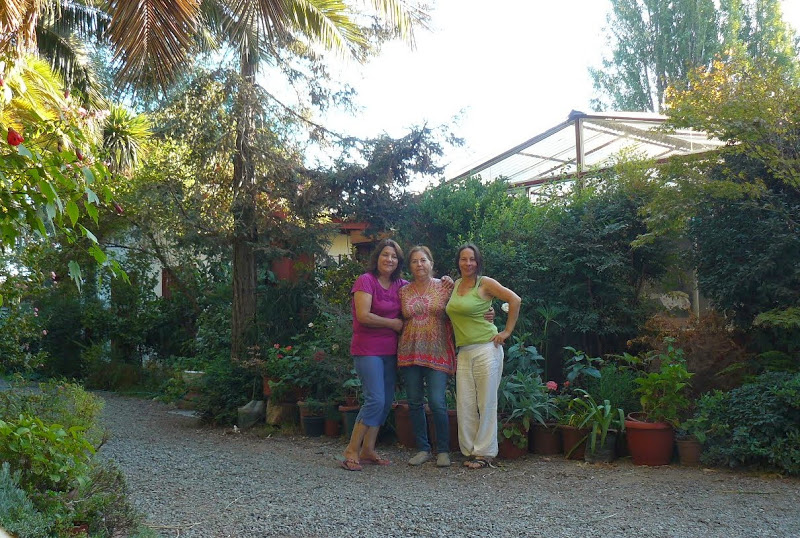 P1490150.JPG