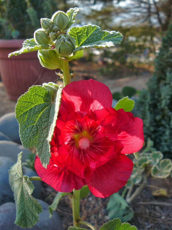 P1490201.JPG