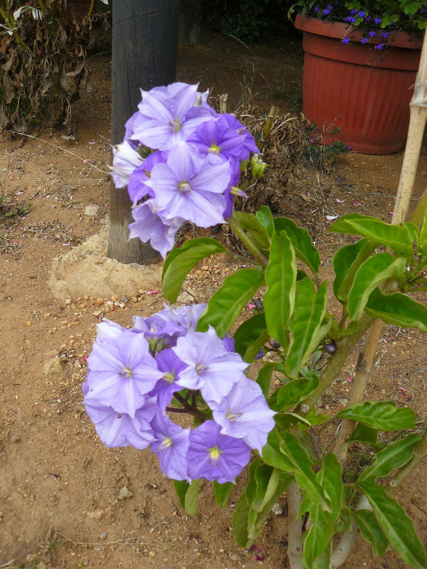 P1490271.JPG