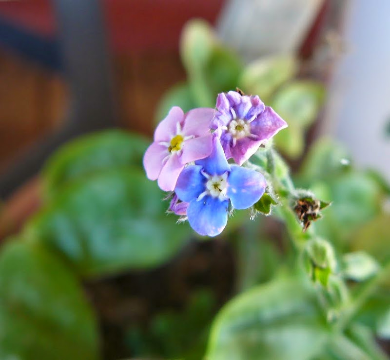 P1490416.JPG