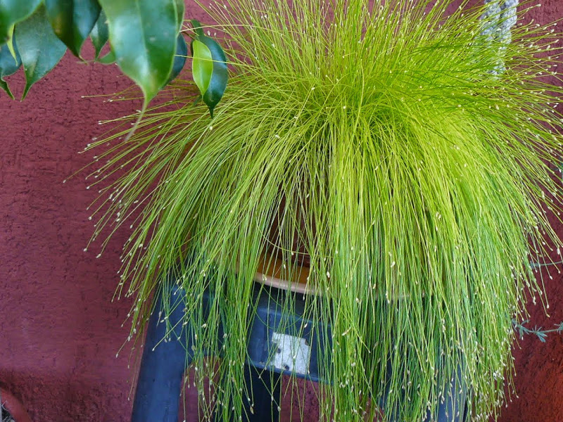 P1490425.JPG