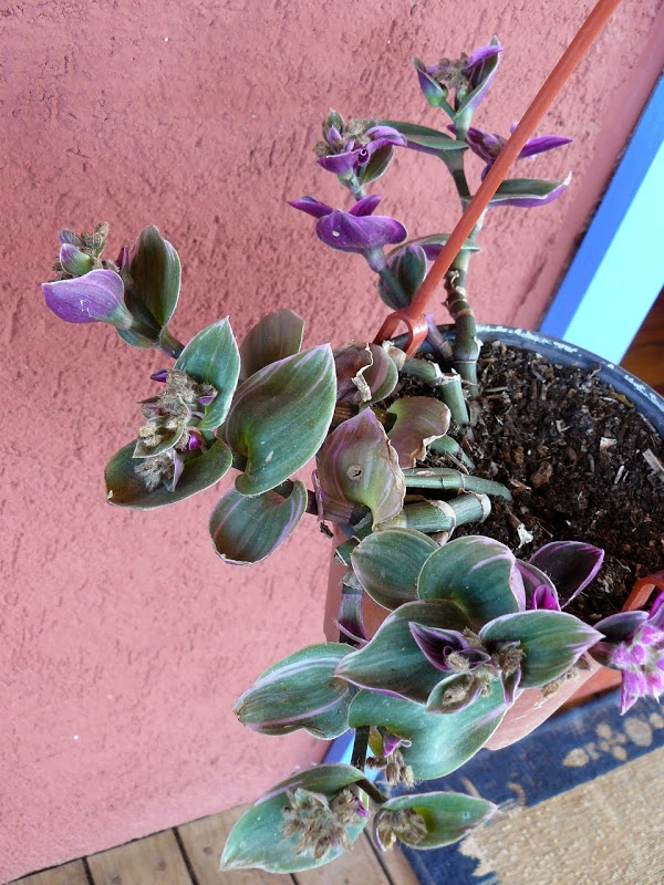 P1490428.JPG