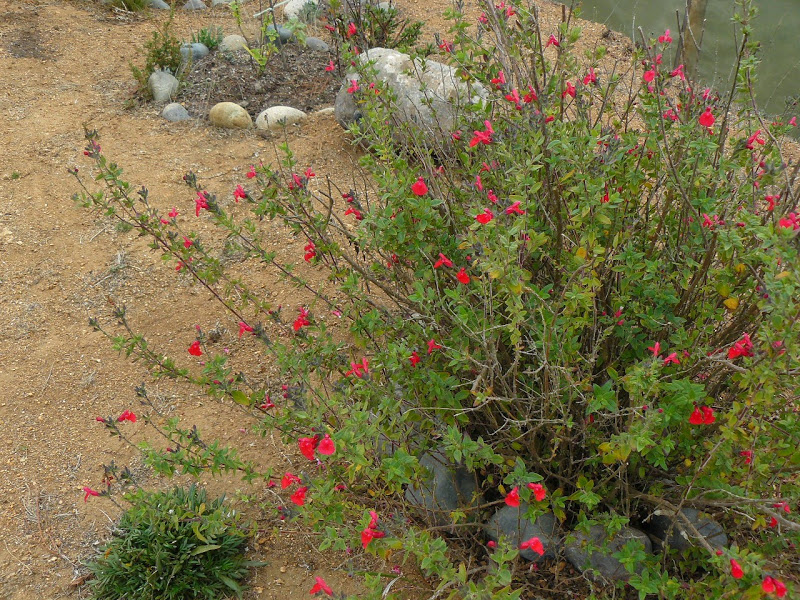 P1490484.JPG