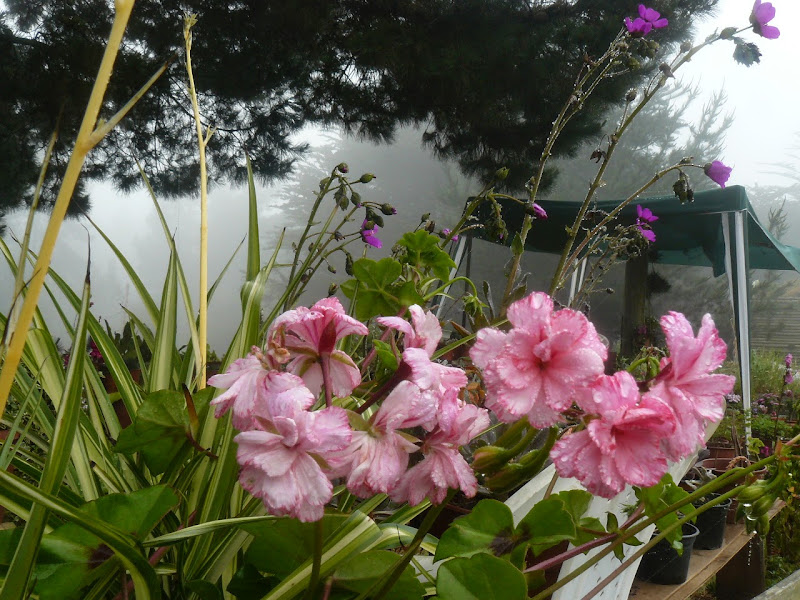 P1490846.JPG