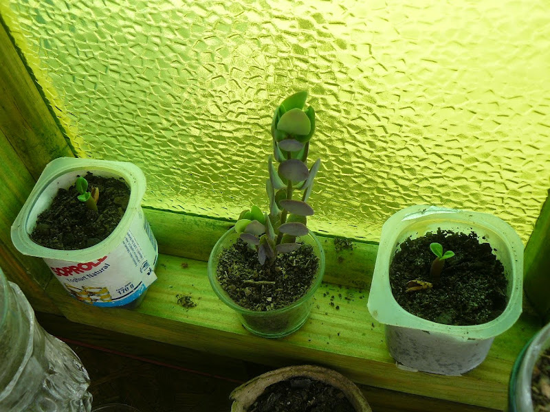 P1490946.JPG