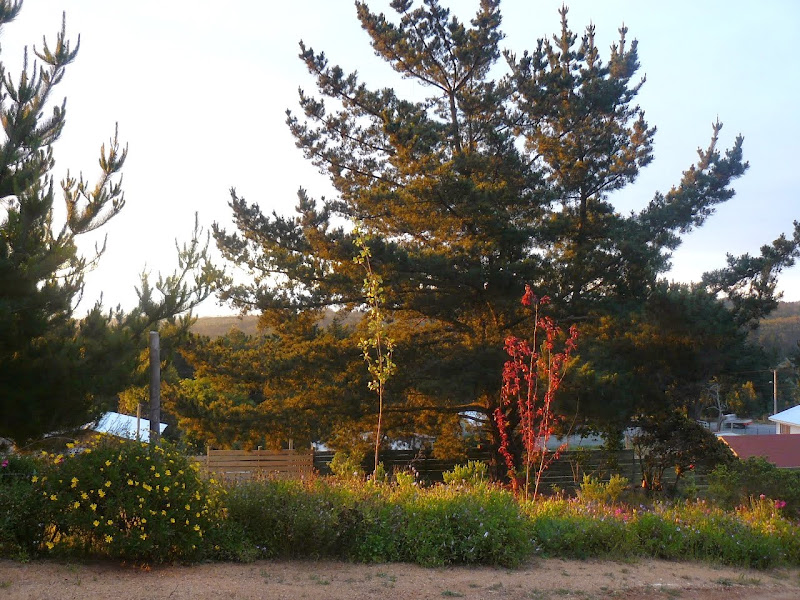 P1490962.JPG