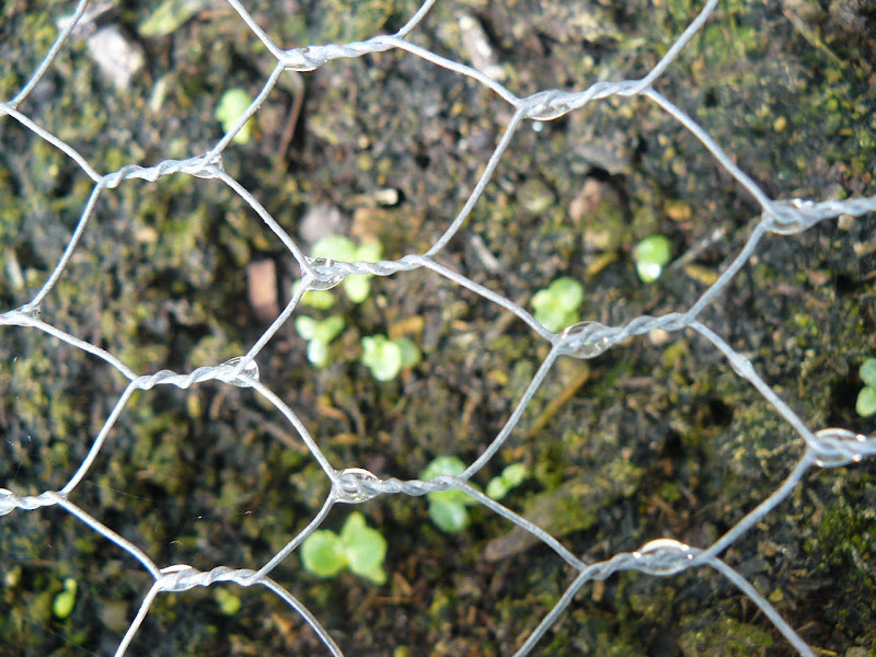 P1500031.JPG