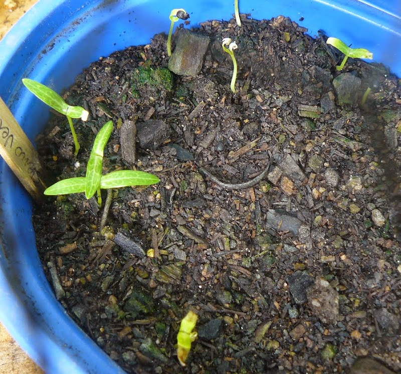 P1500038.JPG