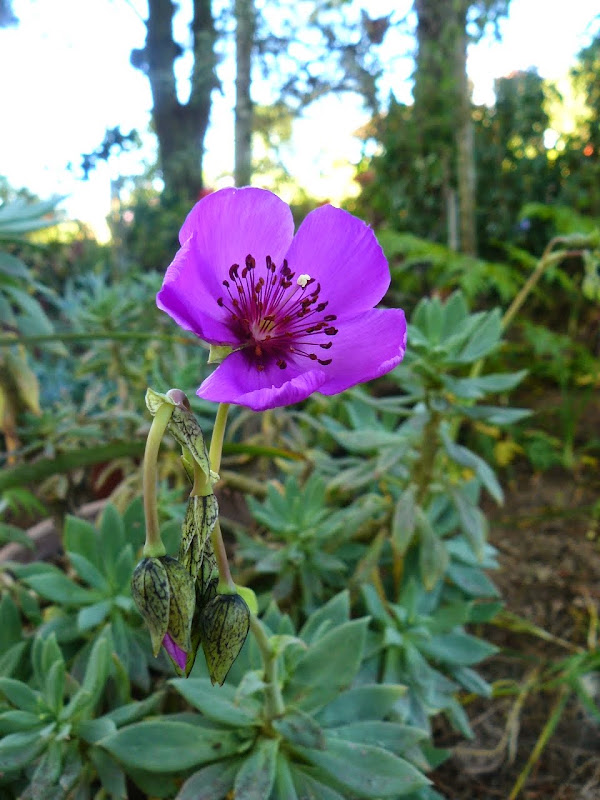 P1500130.JPG