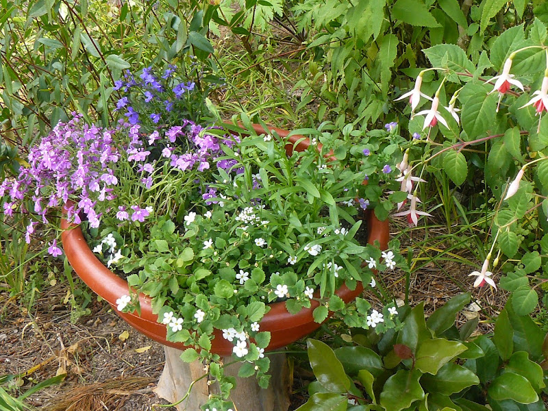 P1500416.JPG
