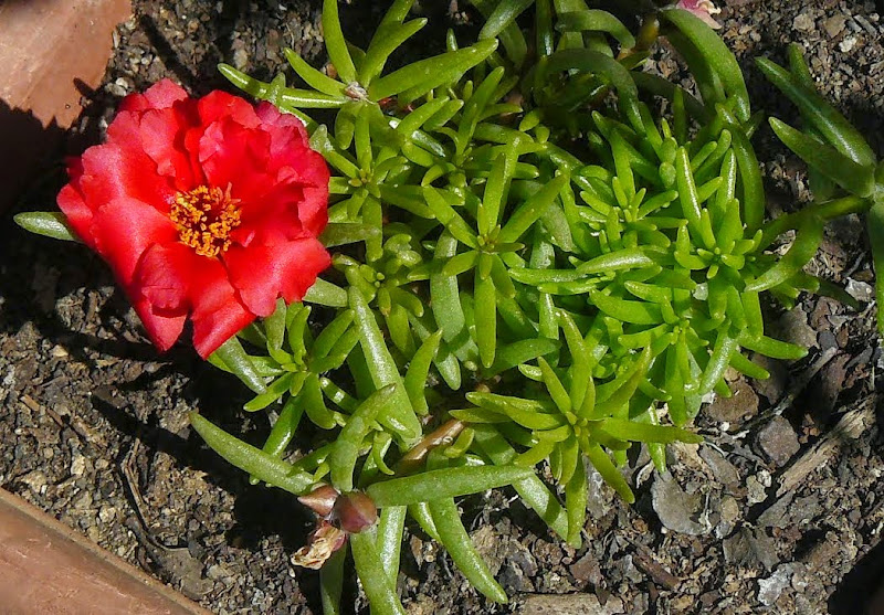 P1500434.JPG