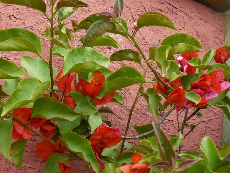 P1500449.JPG