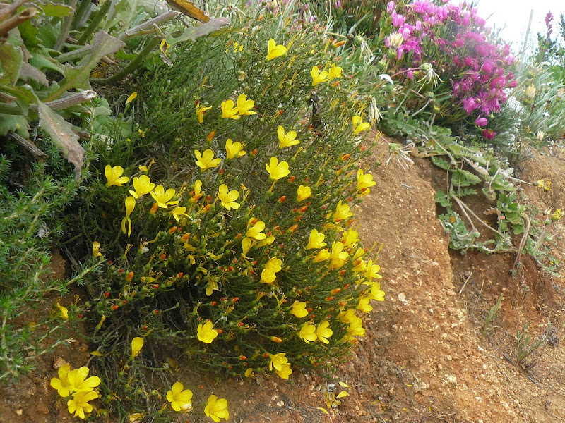 P1500491.JPG