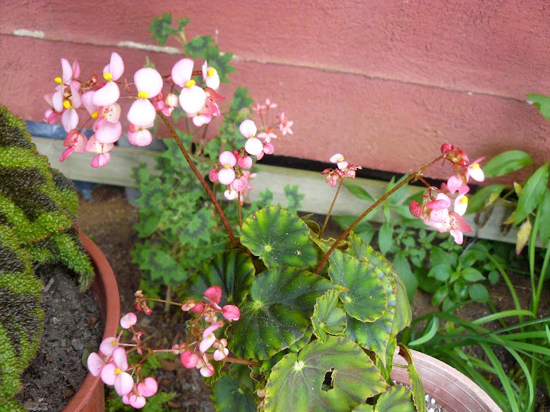 P1500652.JPG
