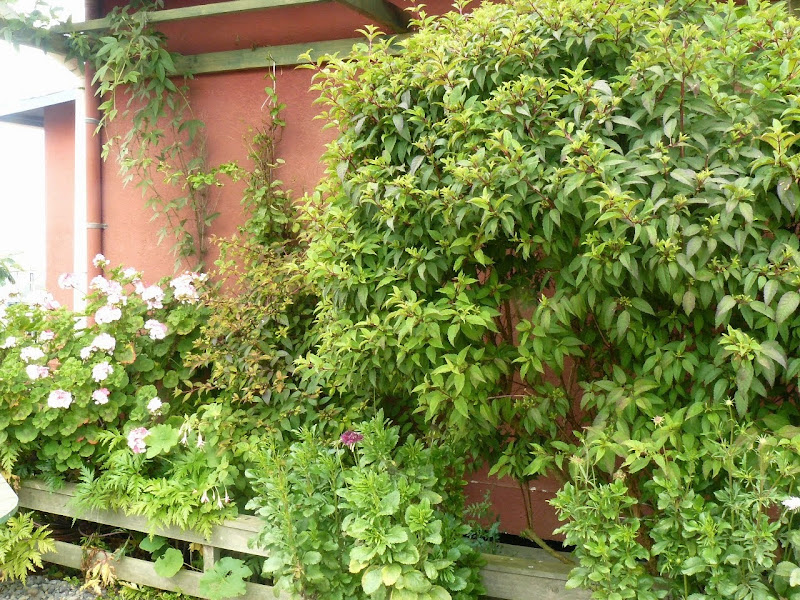 P1500666.JPG