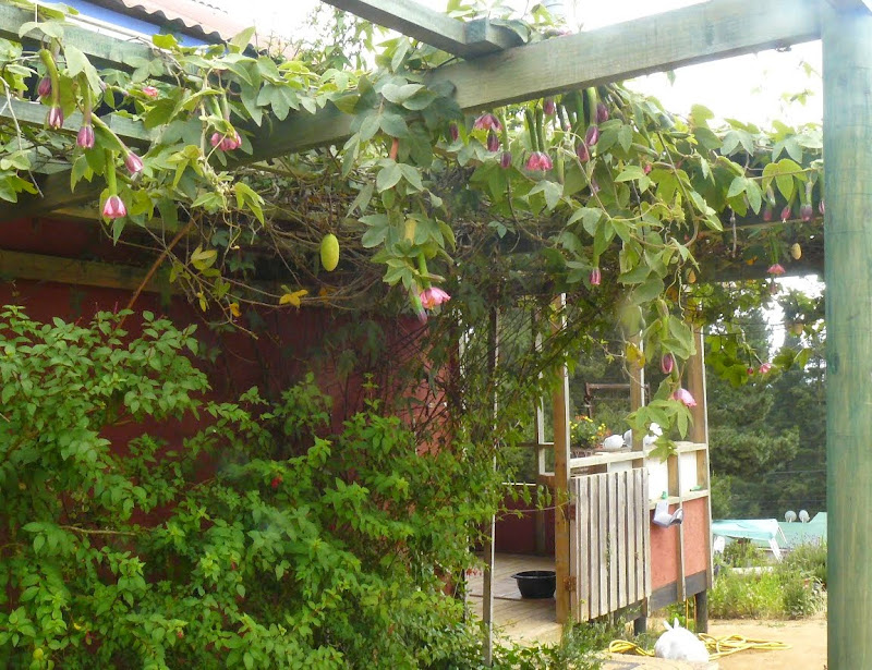 P1500668.JPG