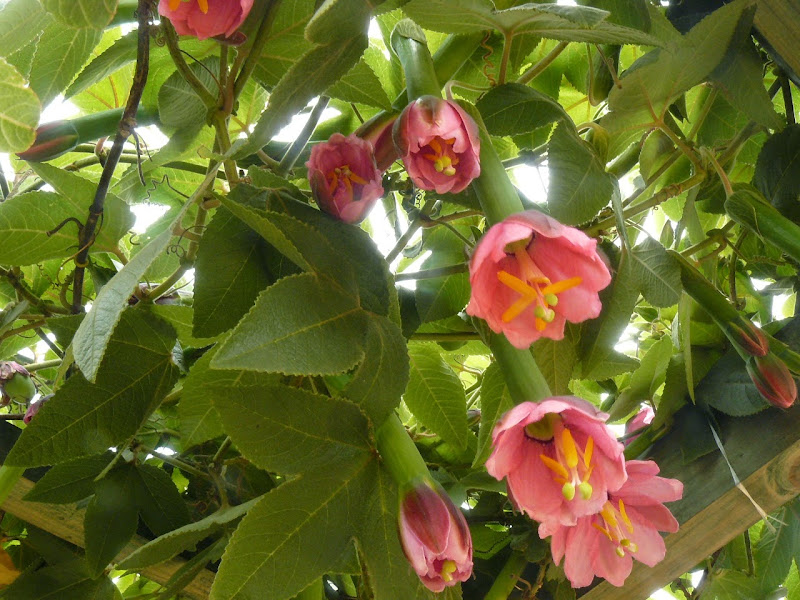 P1500670.JPG