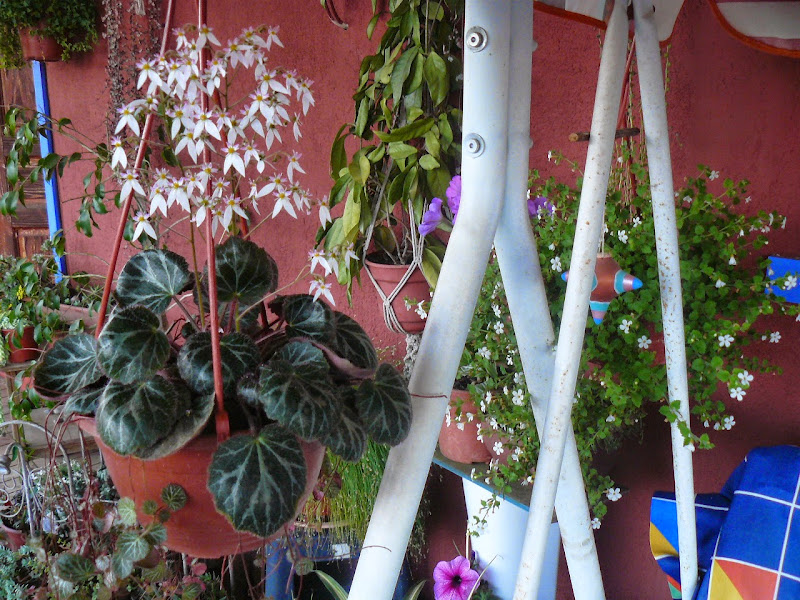 P1500802.JPG