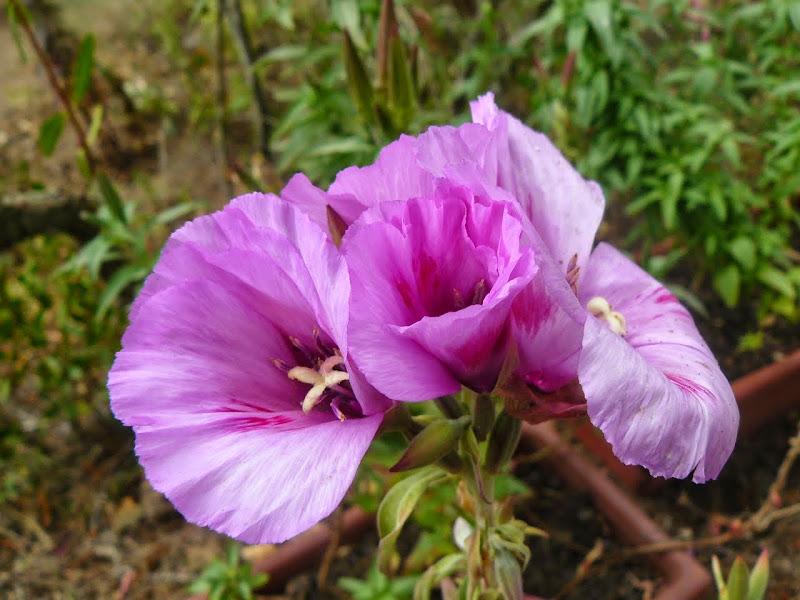 P1500865.JPG