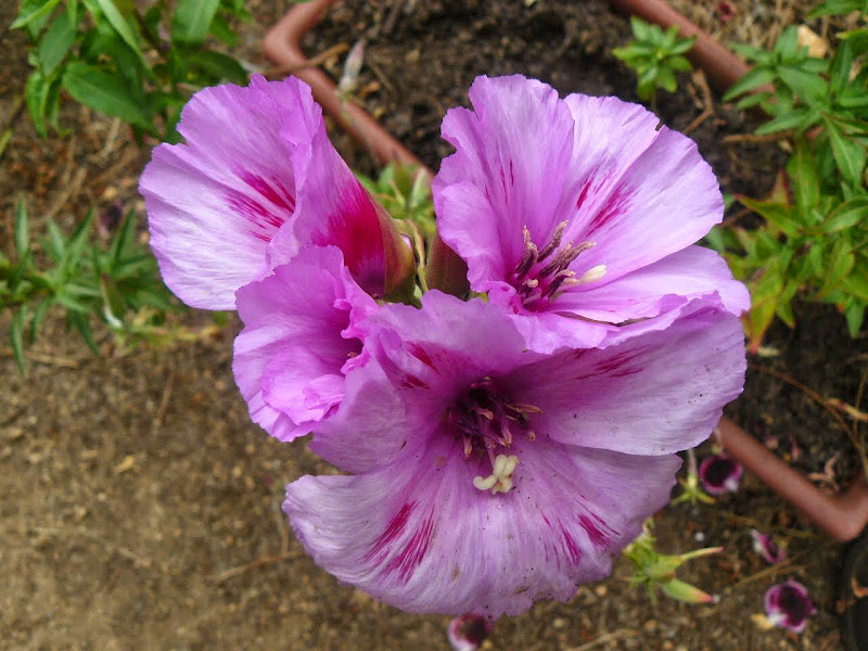P1500869.JPG