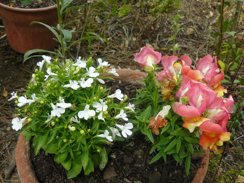 P1500871.JPG