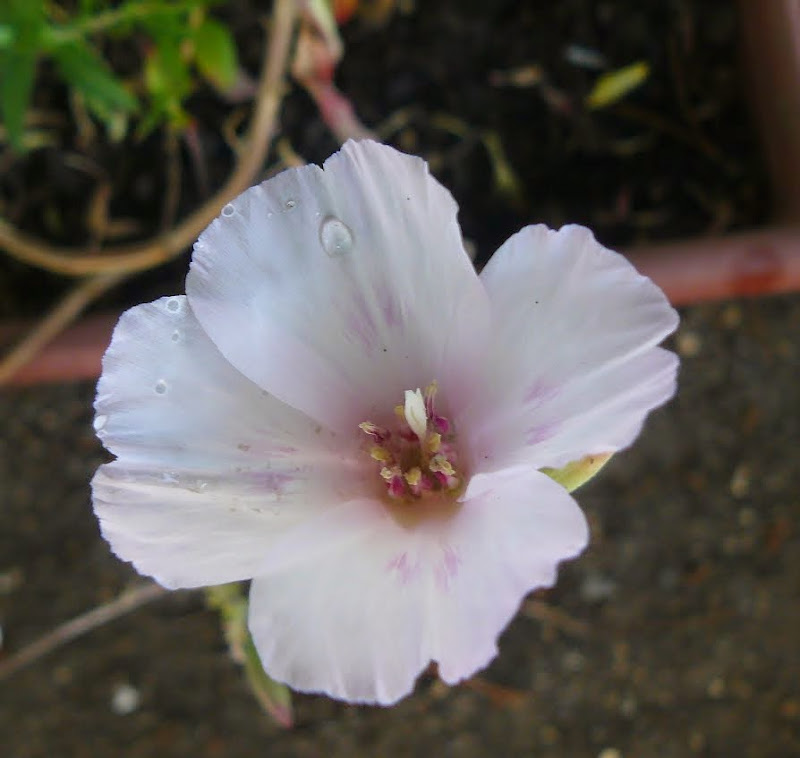 P1510017.JPG