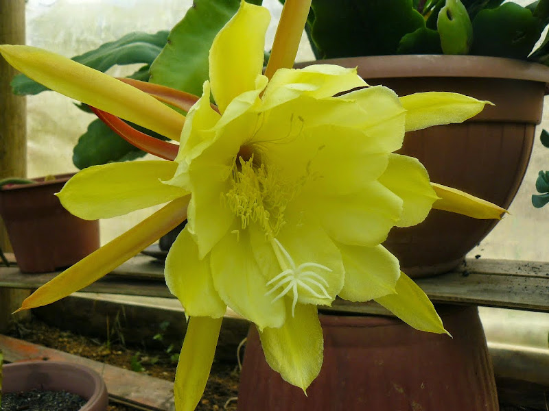 P1510256.JPG