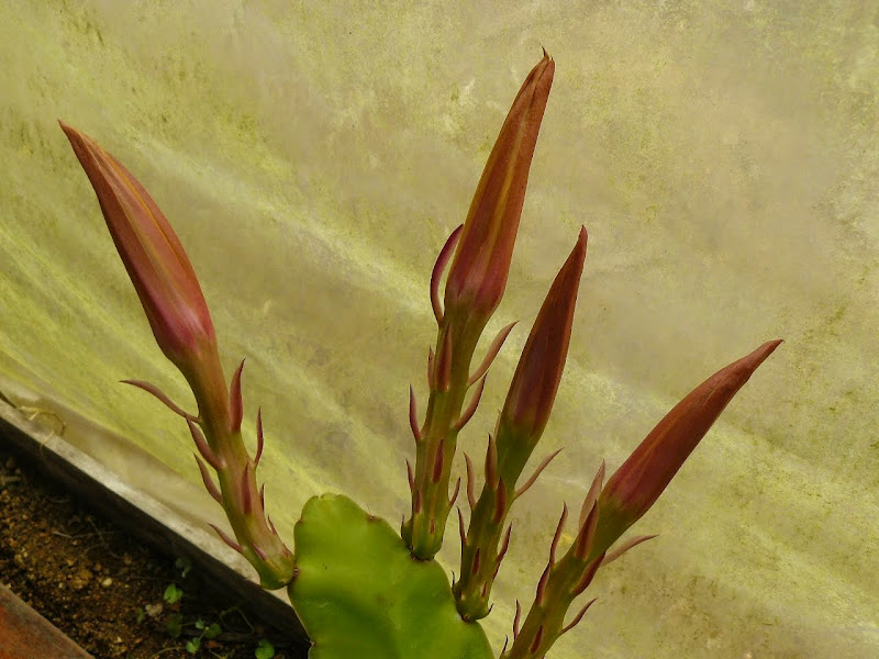 P1510260.JPG