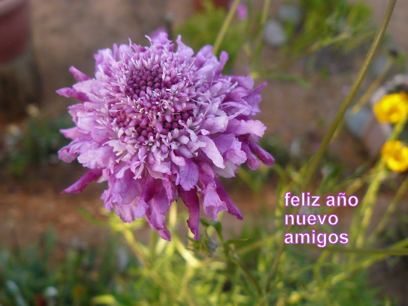 P1510541.JPG
